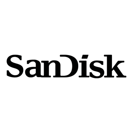 sandisk-logo-png_seeklogo-450069 - Hold.ma